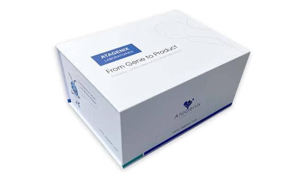 新冠特色產(chǎn)品區(qū)